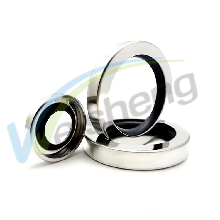 WS-SEALS High Quality Oilseal Ring Stainless Steel PTFE Lip Oil Seal for Compressor